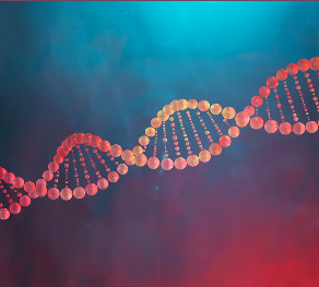 [Intro Course] Intro to PHDsynergy